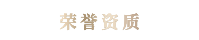 荣誉资质