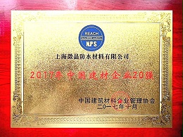 2017年中国建材企业20强证书