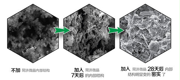 显微镜下的同济微晶