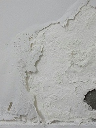 你可知道地下室潮湿发霉，对身体健康的影响有多大？
