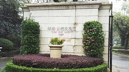 绿城云栖玫瑰园